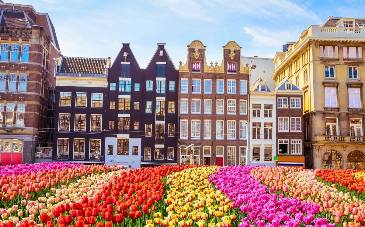 Çukurova'dan Amsterdam & Brüksel Turu