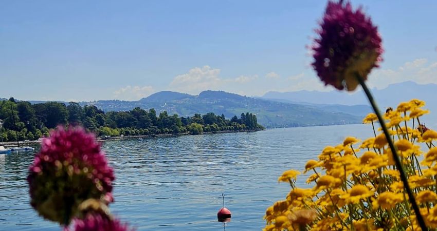İzmir'den Direkt Sefer ile Fransa & İsviçre & Almanya Turu
