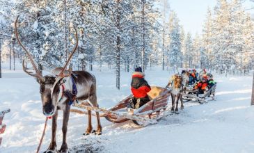 Büyüleyici Kuzey Işıkları & Lapland Turu (2027)