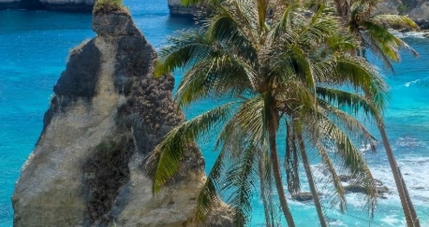 Kuala Lumpur & Singapur & Bali Turu