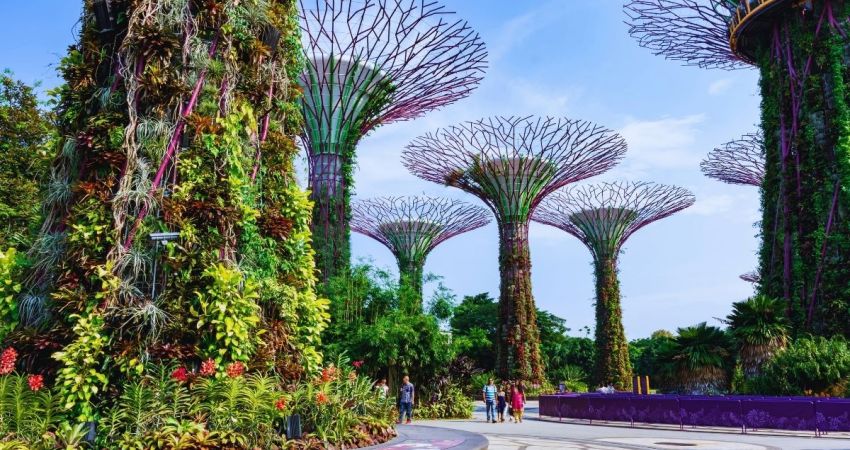 Dolu Dolu Kuala Lumpur & Singapur & Bali Turu V2